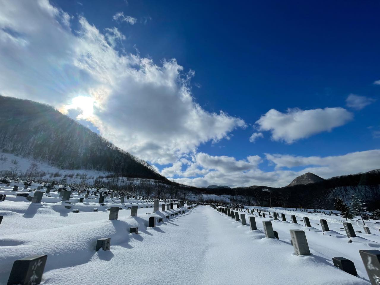 同敷地内の別墓石 素材12